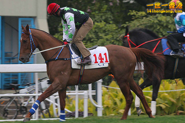 賽馬 141-1.jpg