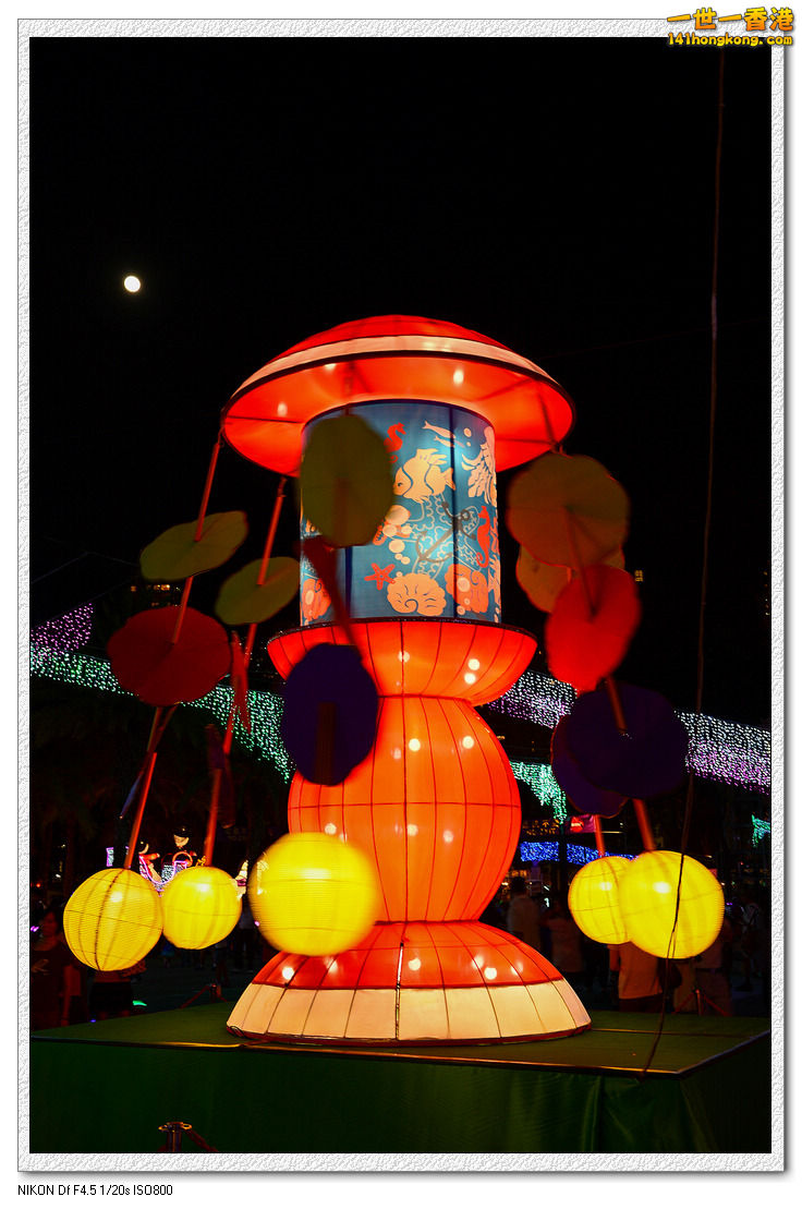 維園花燈125.jpg