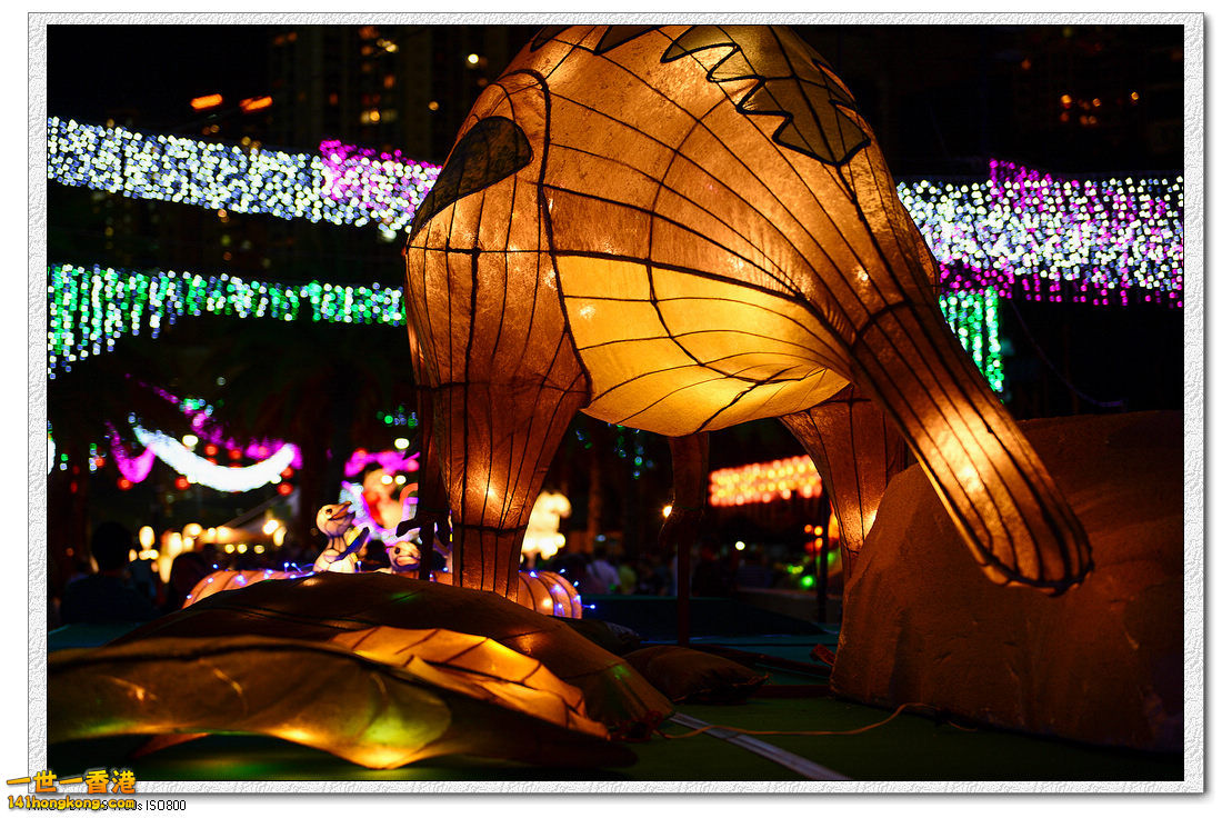 維園花燈132.jpg