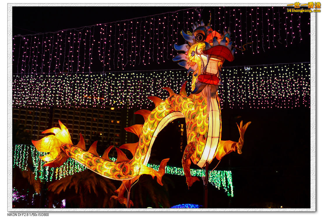 維園花燈175.jpg