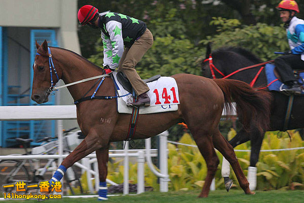 賽馬 141-1.jpg