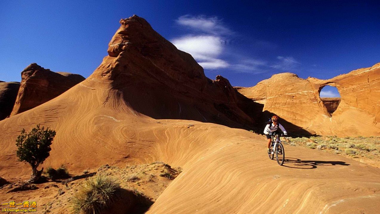 arizona-bicycle-riding 1.jpg