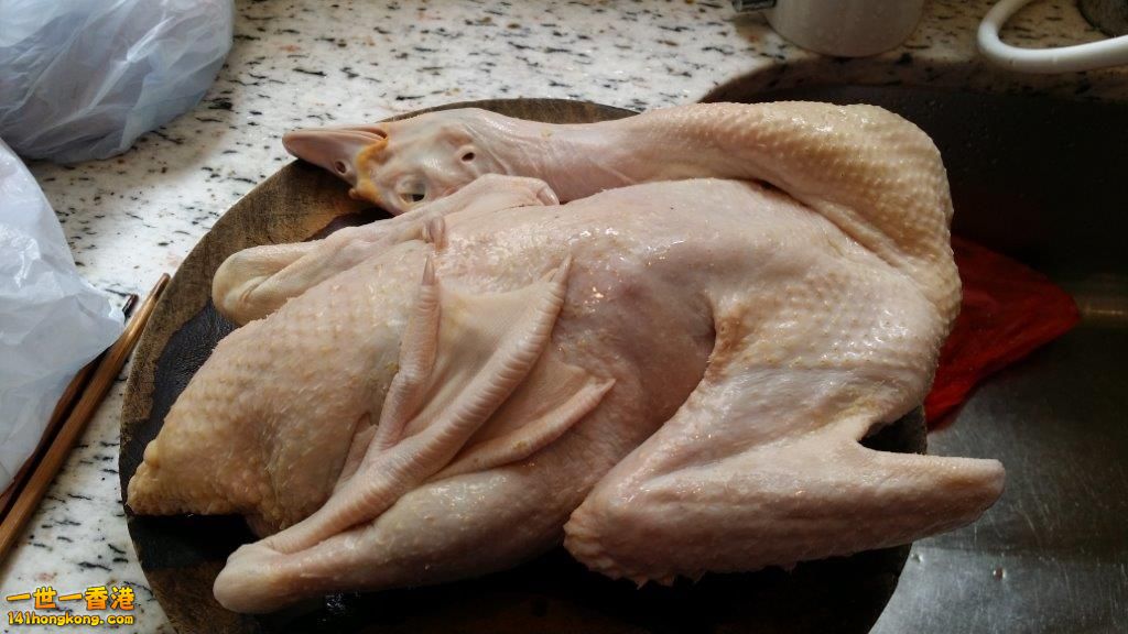 2014-09-14 12.36.31.jpg