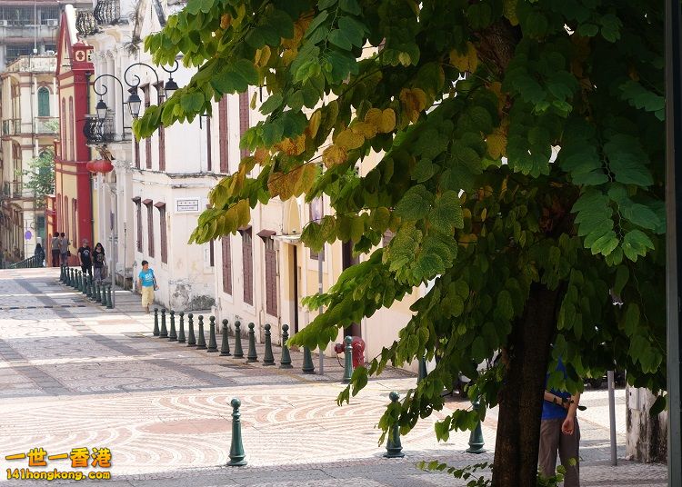 DSC00324.JPG
