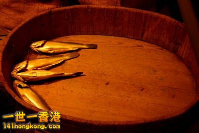 2009_03_19_1348m.jpg