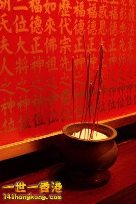 2009_03_19_1390m.jpg
