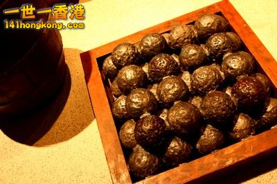 2009_03_19_1489m.jpg