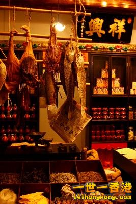 2009_03_19_1515m.jpg