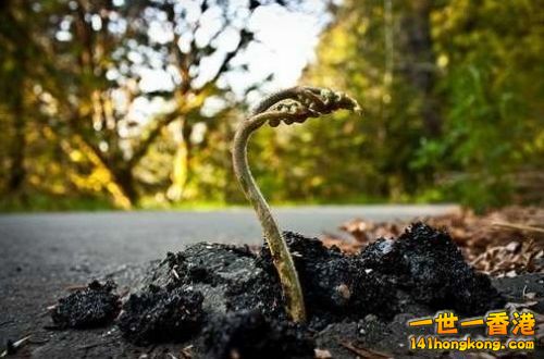 110012ffoo3ftm80t87lu5 (1).jpg