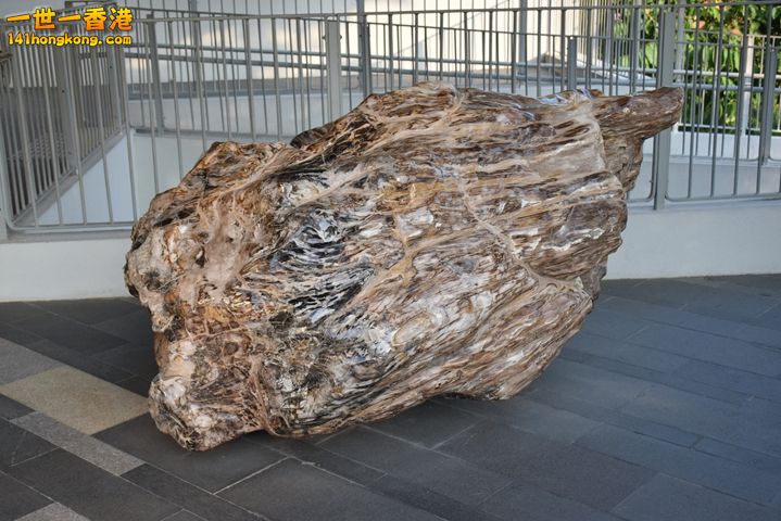 DSC_0056.JPG