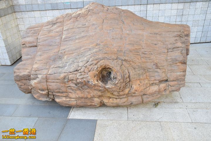 DSC_0060.JPG