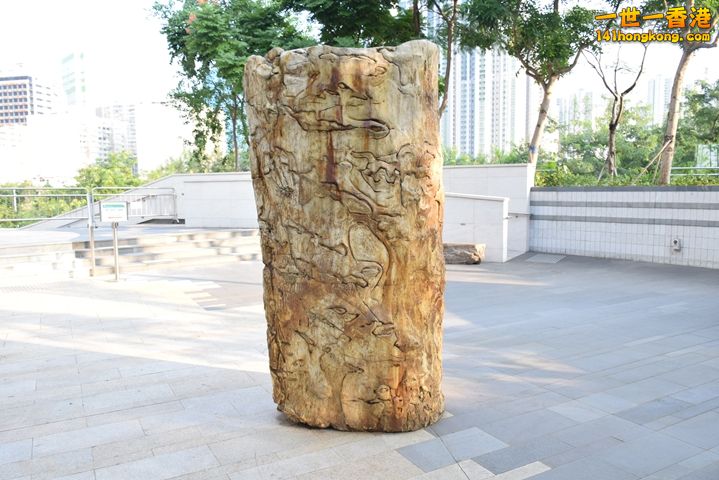 DSC_0061.JPG