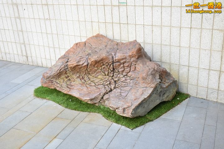DSC_0062.JPG