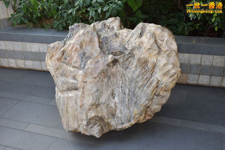 DSC_0065.JPG