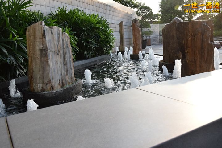 DSC_0067.JPG