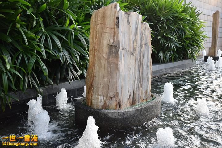 DSC_0068.JPG