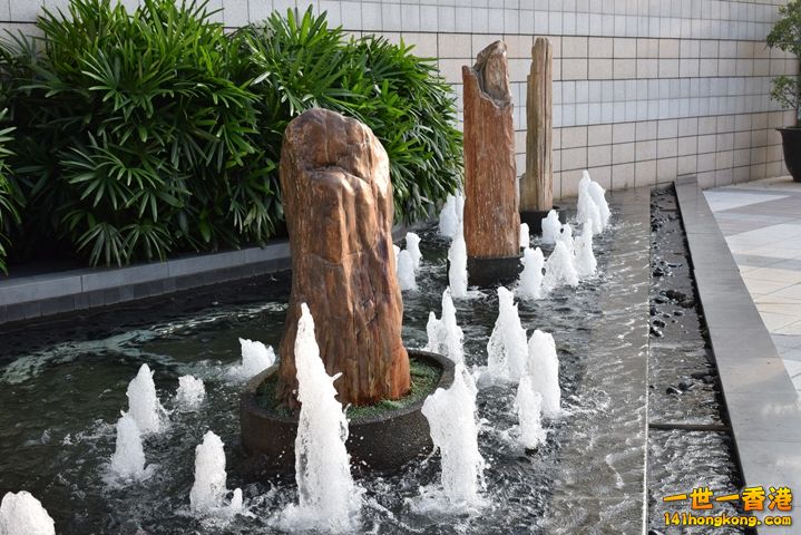 DSC_0069.JPG
