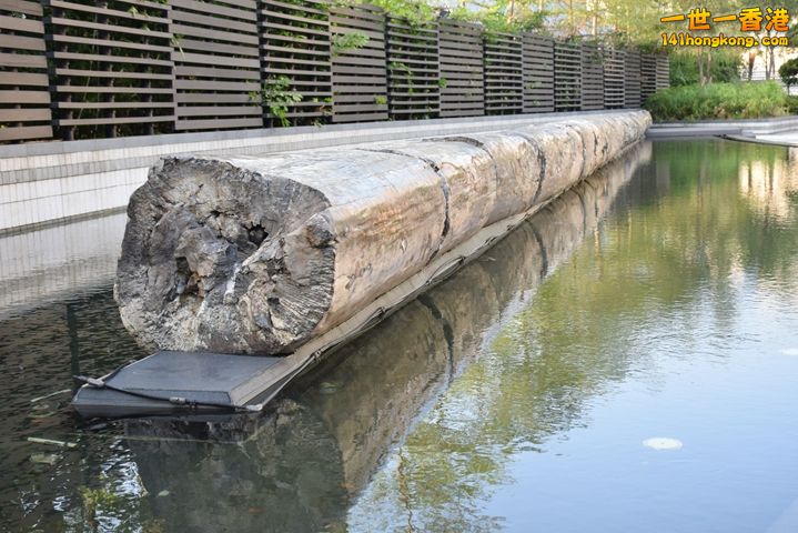 DSC_0071.JPG