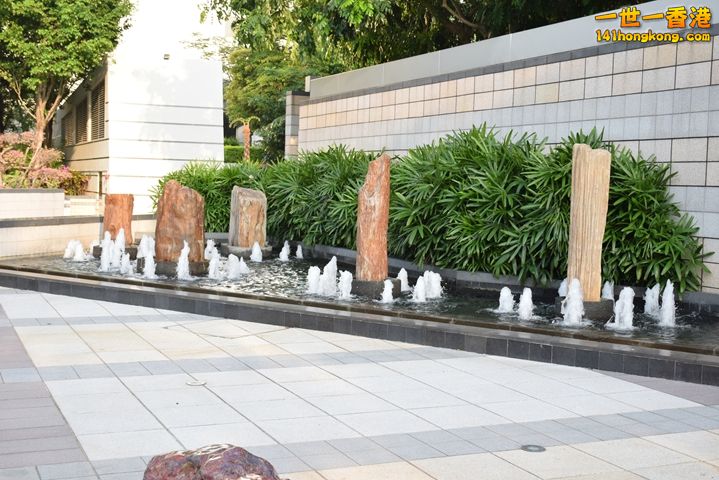 DSC_0072.JPG