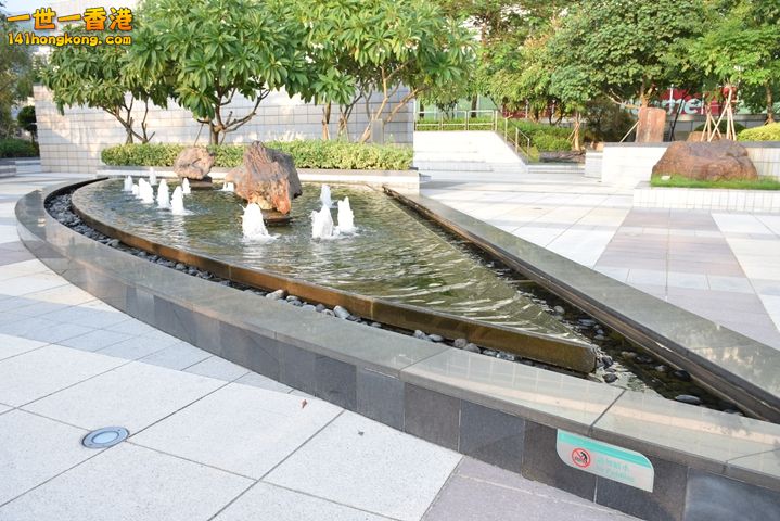 DSC_0074.JPG