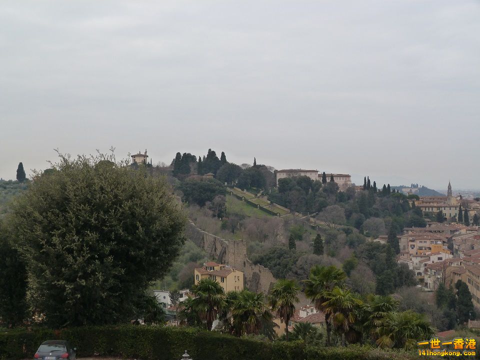 P1010682.jpg