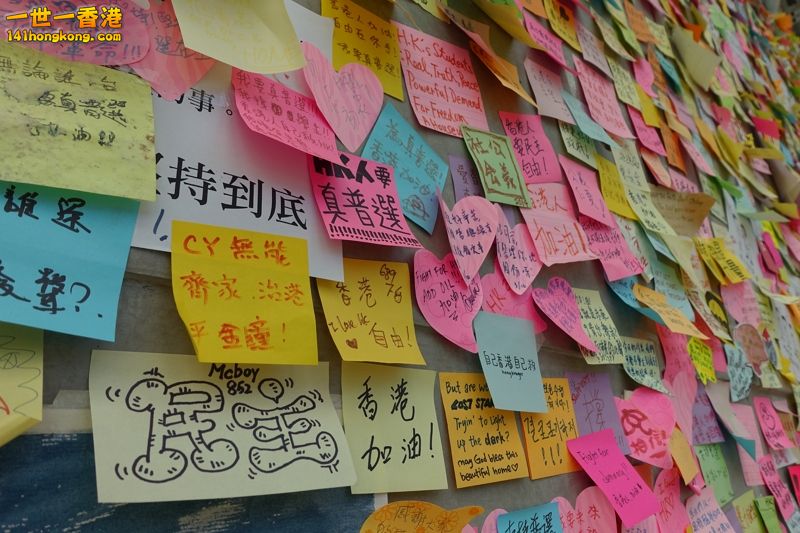 DSC02261 [800x600].jpg