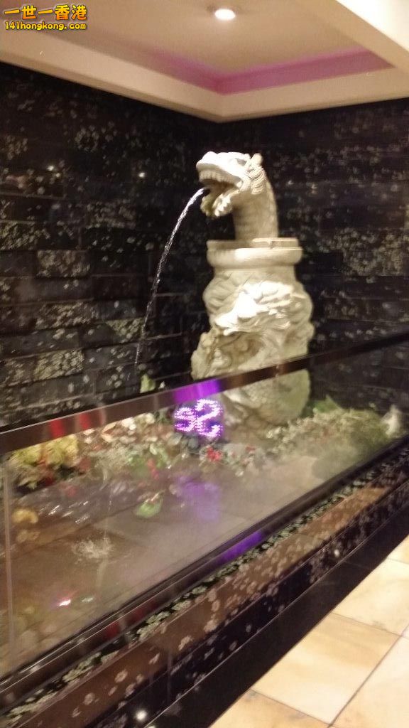 2014-09-17 10.06.49.jpg