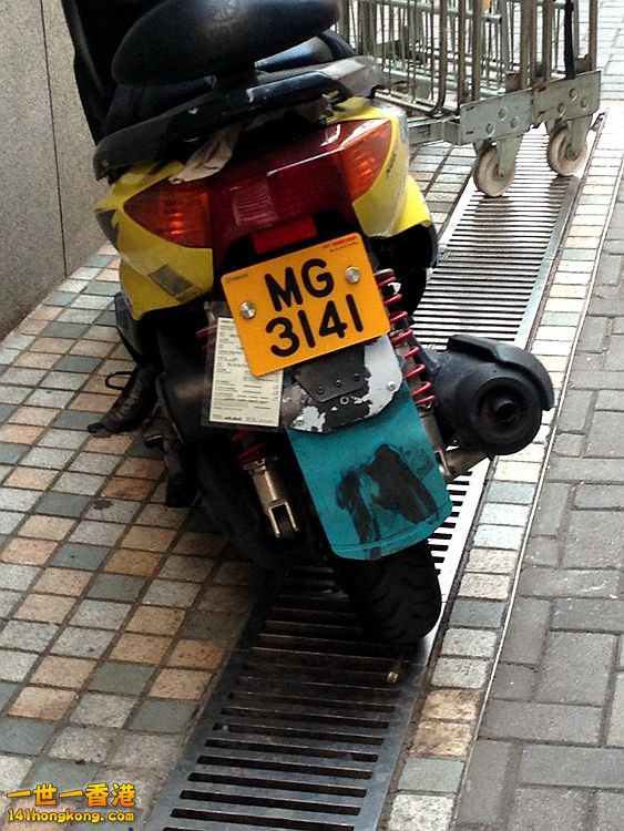 MG3141.JPG
