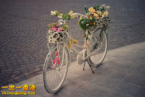 bicycle-bike-cute-flowers-Favim.com-314603.jpg