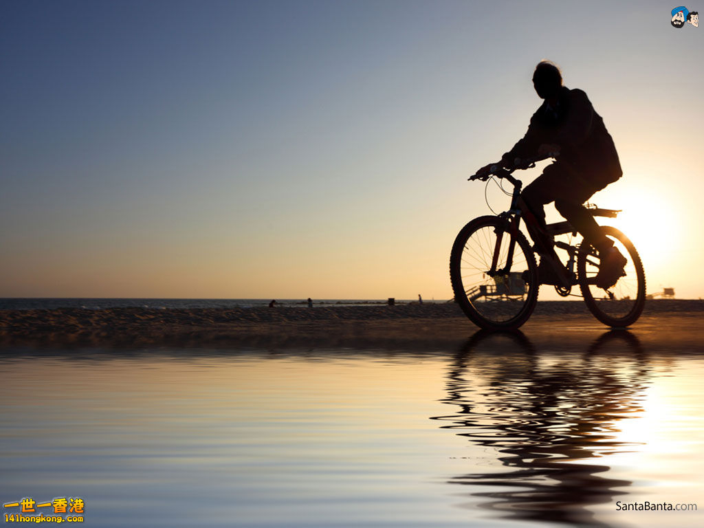 bicycles-21a.jpg