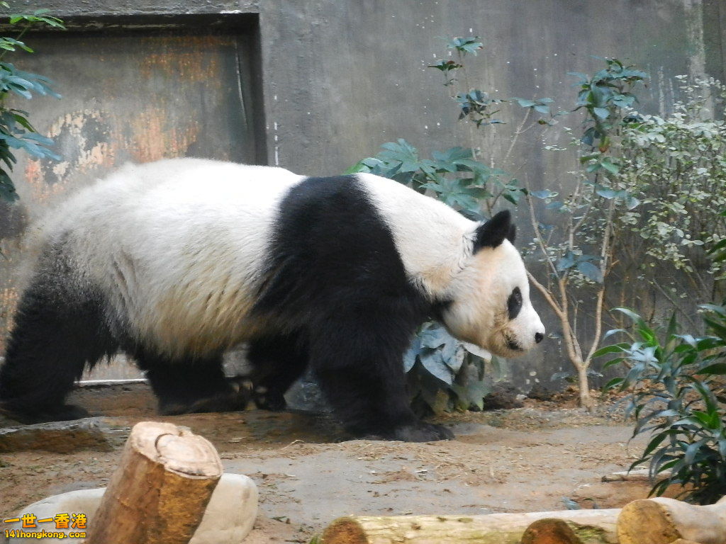 DSCN1707.JPG