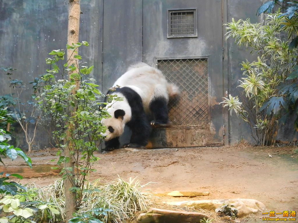 DSCN1712.JPG