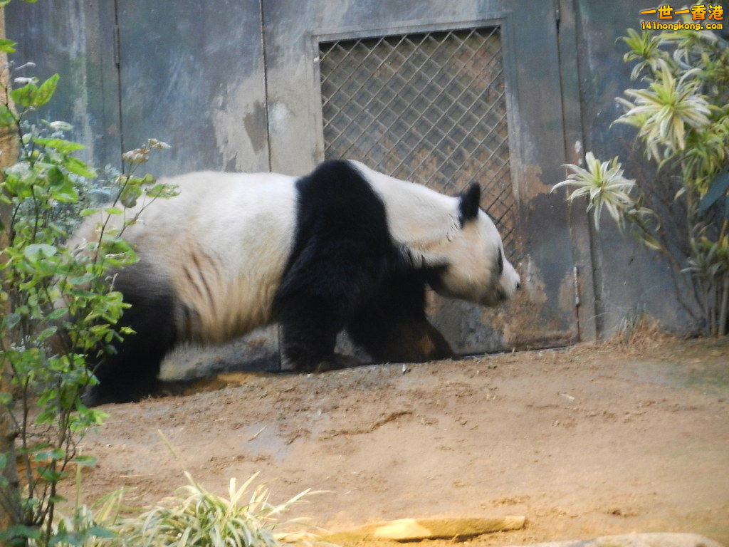 DSCN1714.JPG