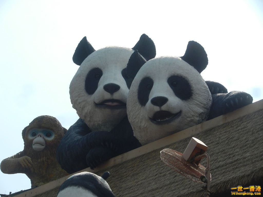 DSCN1717.JPG