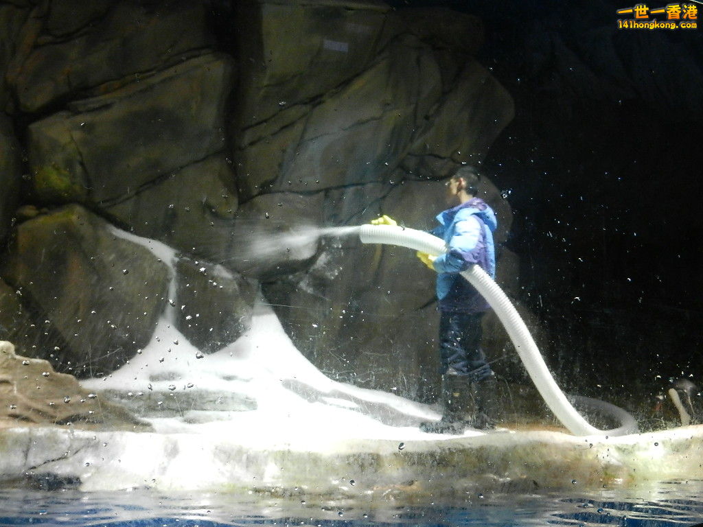 DSCN1724.JPG
