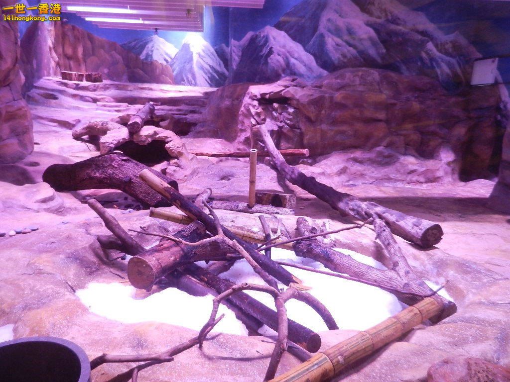 DSCN1728.JPG