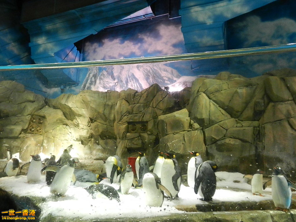 DSCN1726.JPG