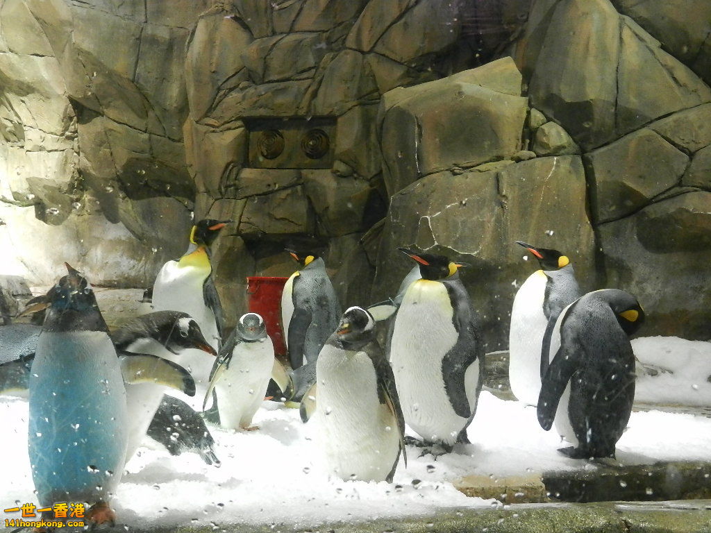 DSCN1727.JPG