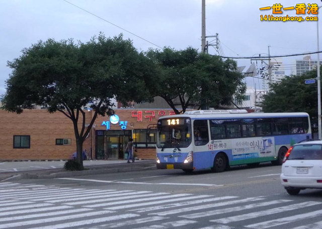 141.jpg