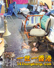 暴力 1 20141113.jpg