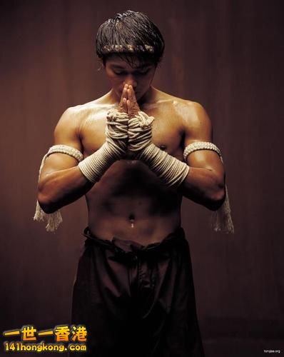 Tony-Jaa-tony-jaa-2525179-398-500.jpeg