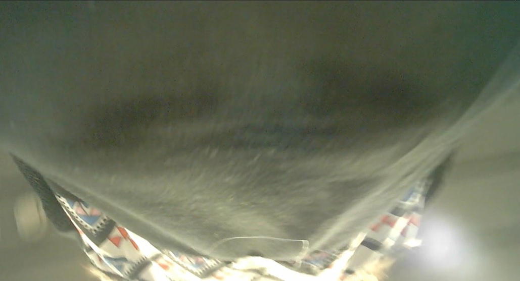 09.jpg