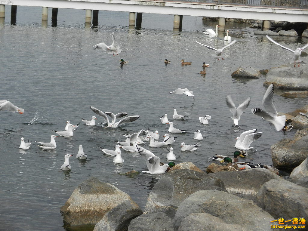DSCN2337.JPG