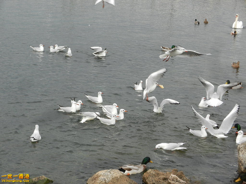 DSCN2339.JPG