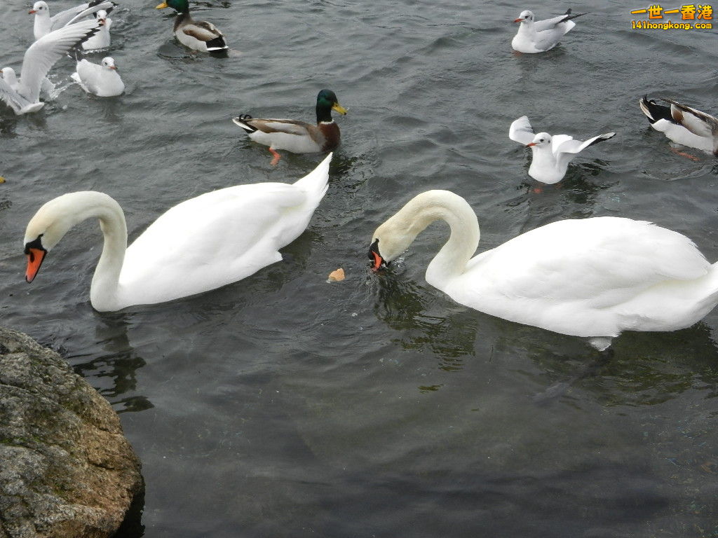 DSCN2346.JPG