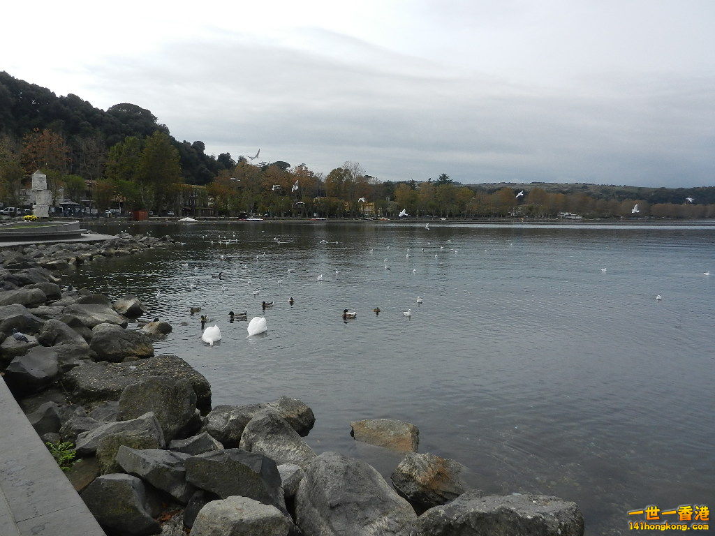 DSCN2356.JPG