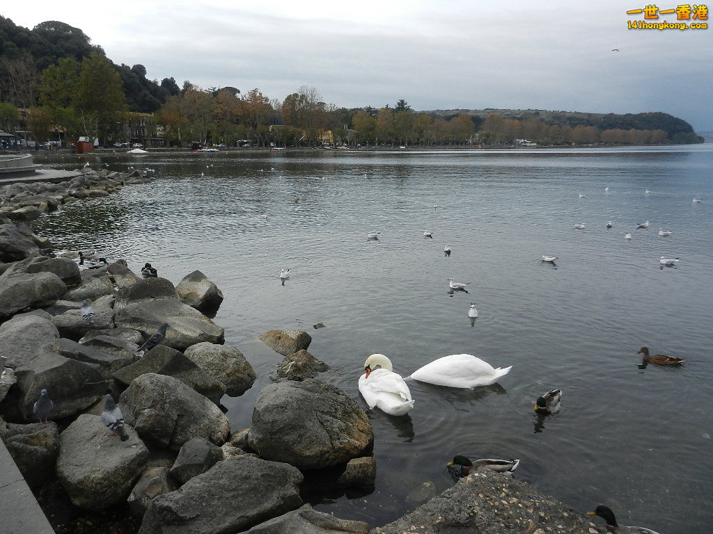 DSCN2355.JPG