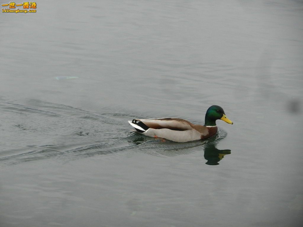 DSCN2397.JPG