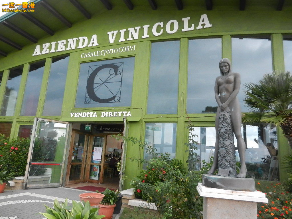 DSCN2417.JPG