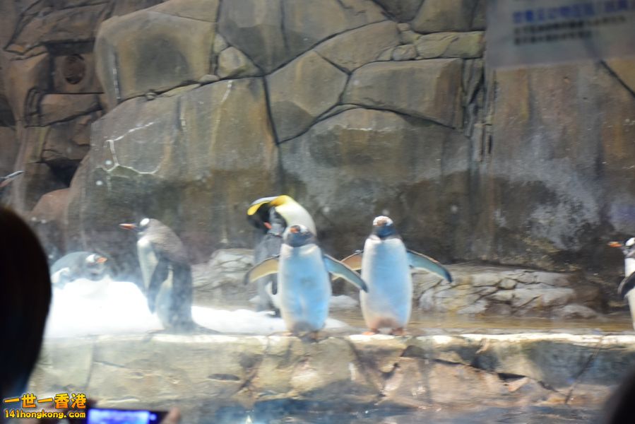DSC_0085.JPG